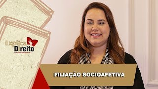 Explica Direito Filiação Socioafetiva  2019 [upl. by Icak]