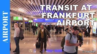 TRANSIT WALK AT FRANKFURT Airport FRA Terminal 1  Connection Flight Transfer Arriving amp Departing [upl. by Libre]